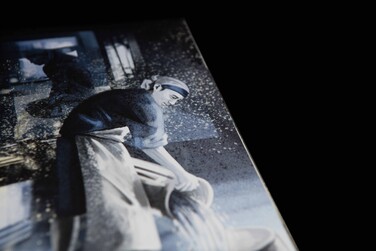 Hikobae. Photo by Štěpánka Vacková